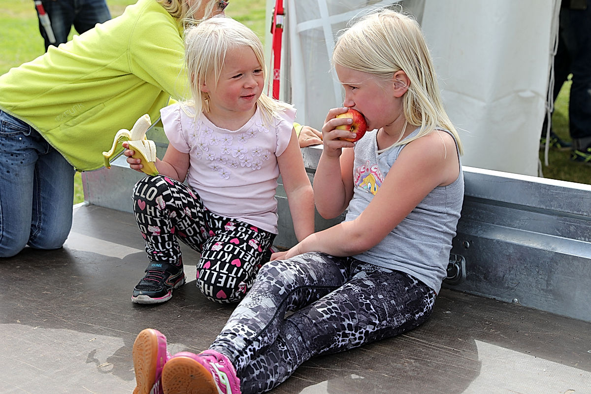 Funktionärer - 2017 - SommarRock Svedala