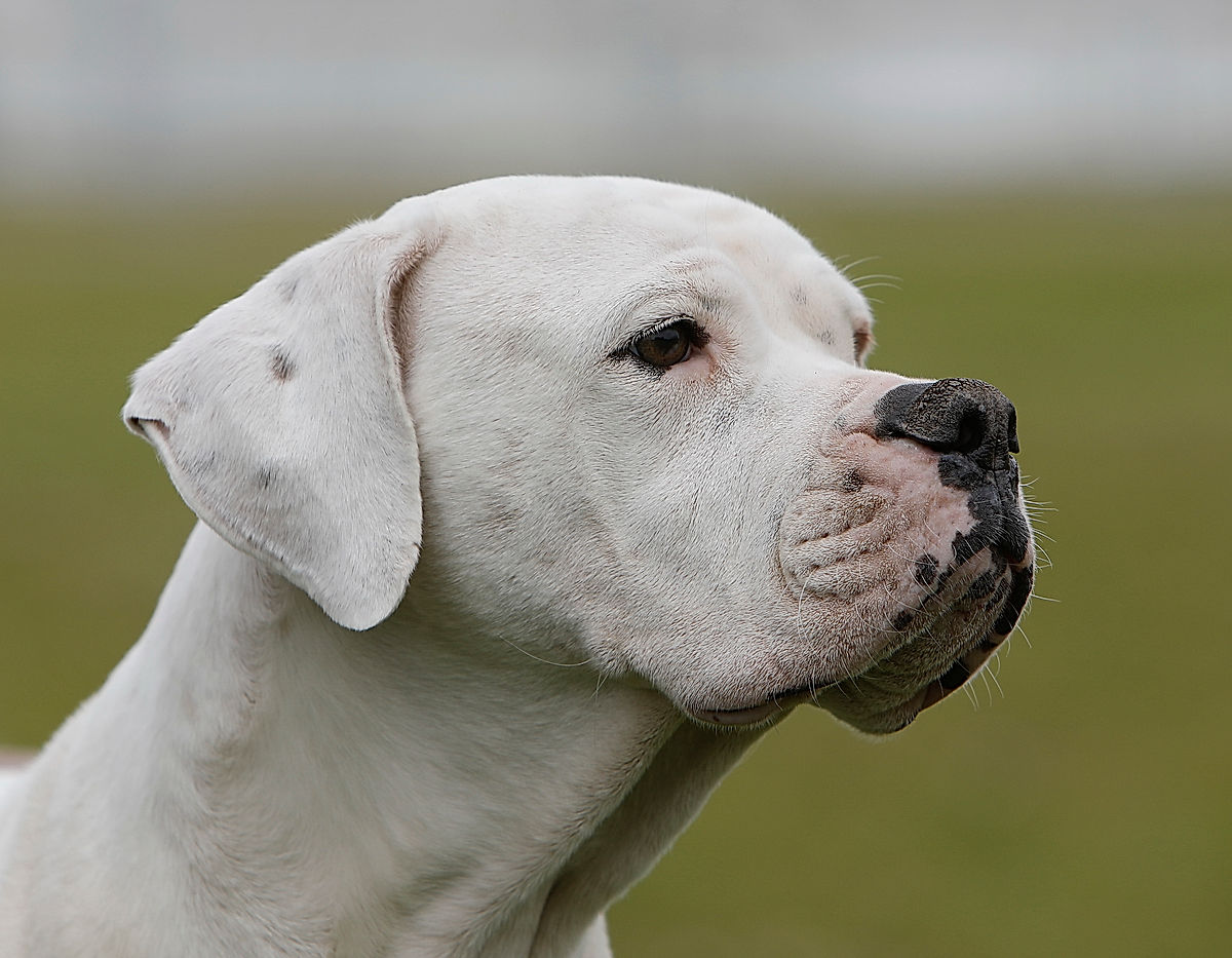 Funktionärer - 2017 - SommarRock Svedala