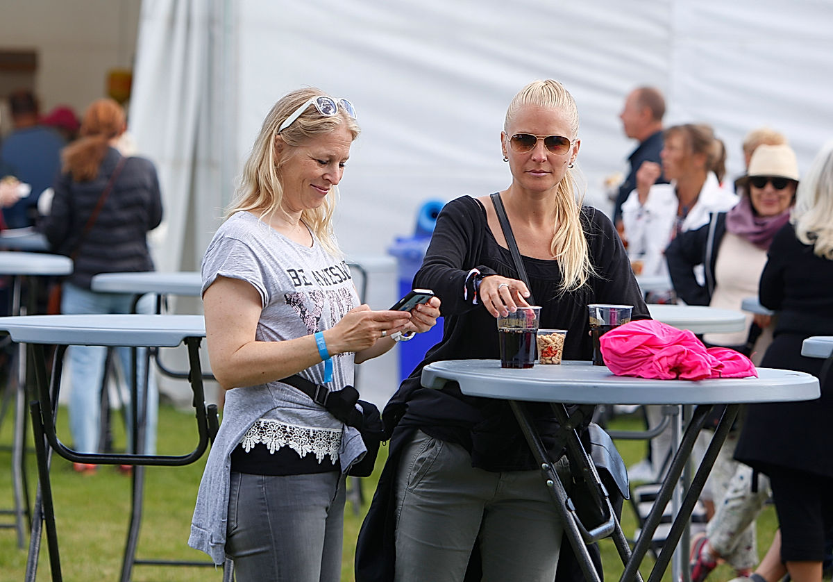 Publik - 2017 - SommarRock Svedala