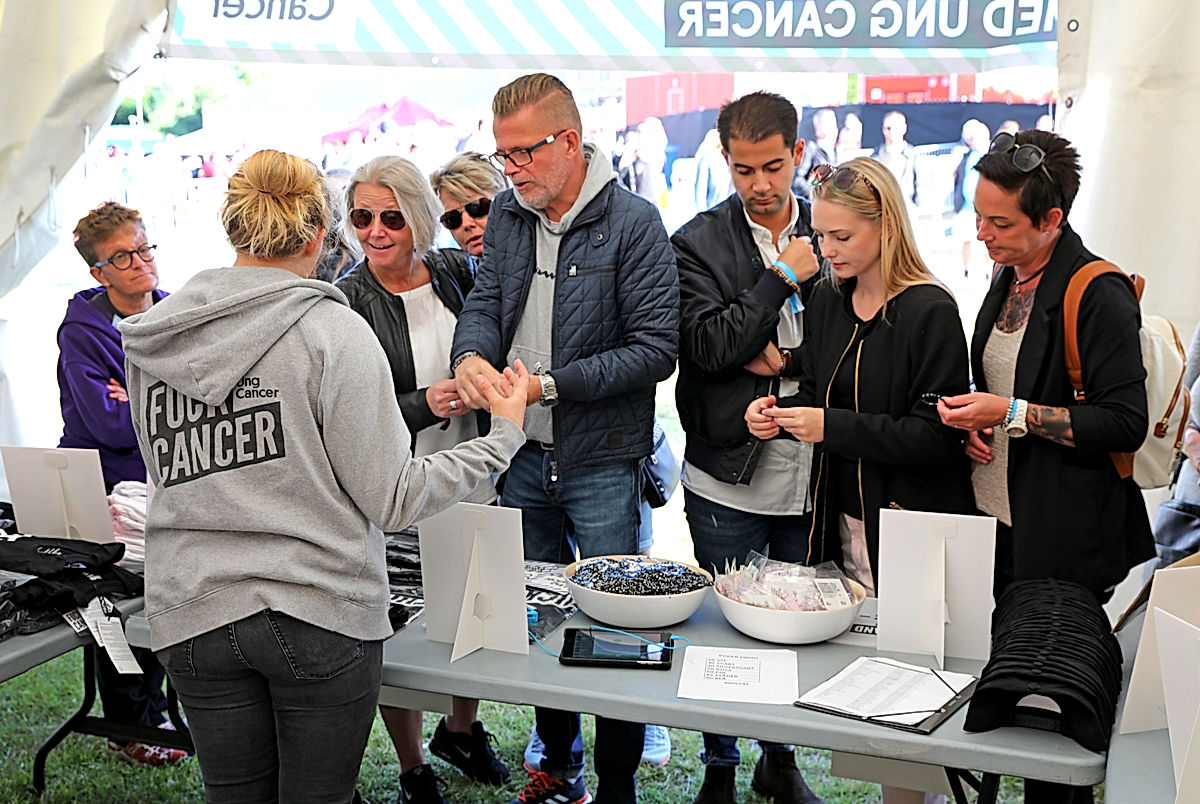 Publik - 2017 - SommarRock Svedala