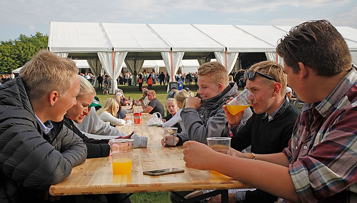 Publik - 2017 - SommarRock Svedala