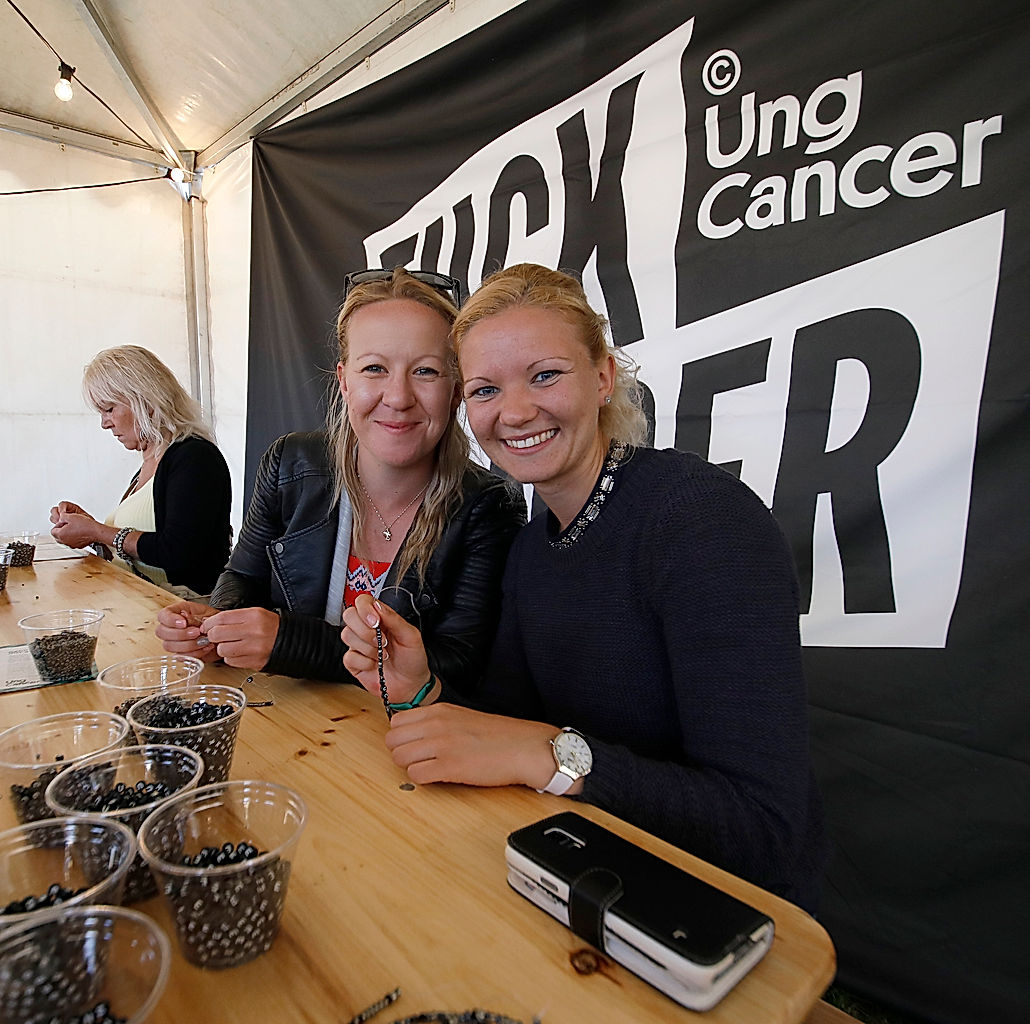 Publik - 2017 - SommarRock Svedala