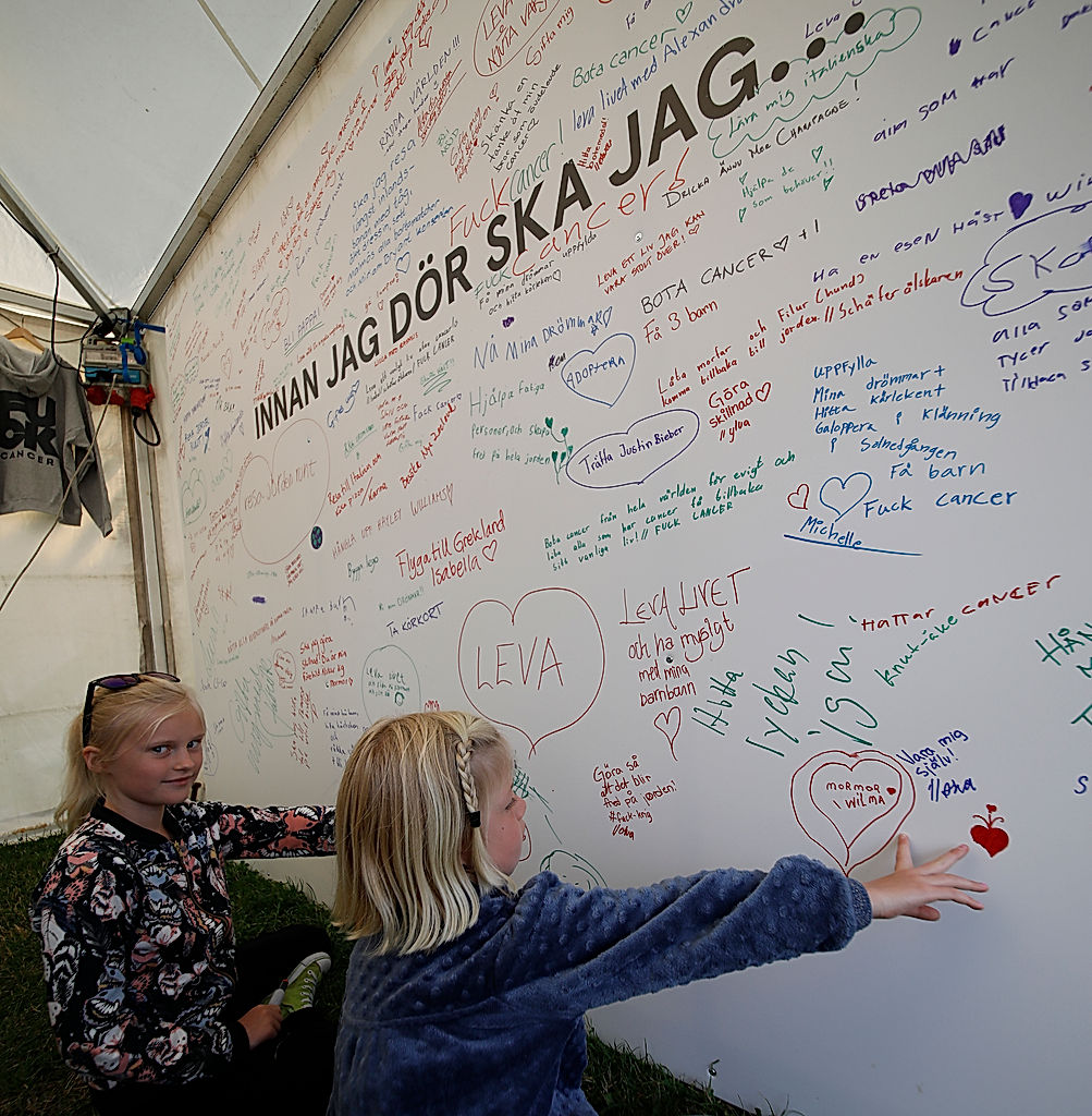 Publik - 2017 - SommarRock Svedala