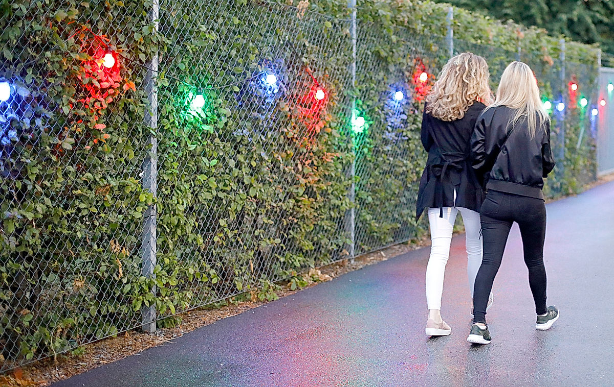 Publik - 2018 - SommarRock Svedala