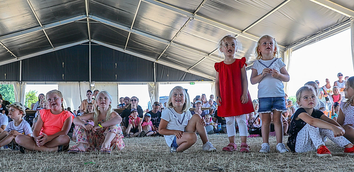 Publik - 2018 - SommarRock Svedala