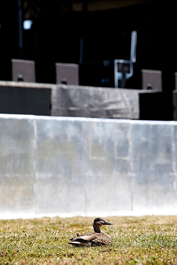 Funktionärer - 2019 - SommarRock Svedala