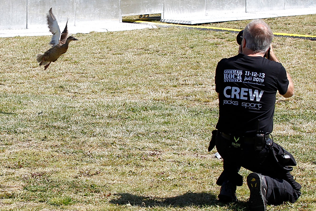 Funktionärer - 2019 - SommarRock Svedala