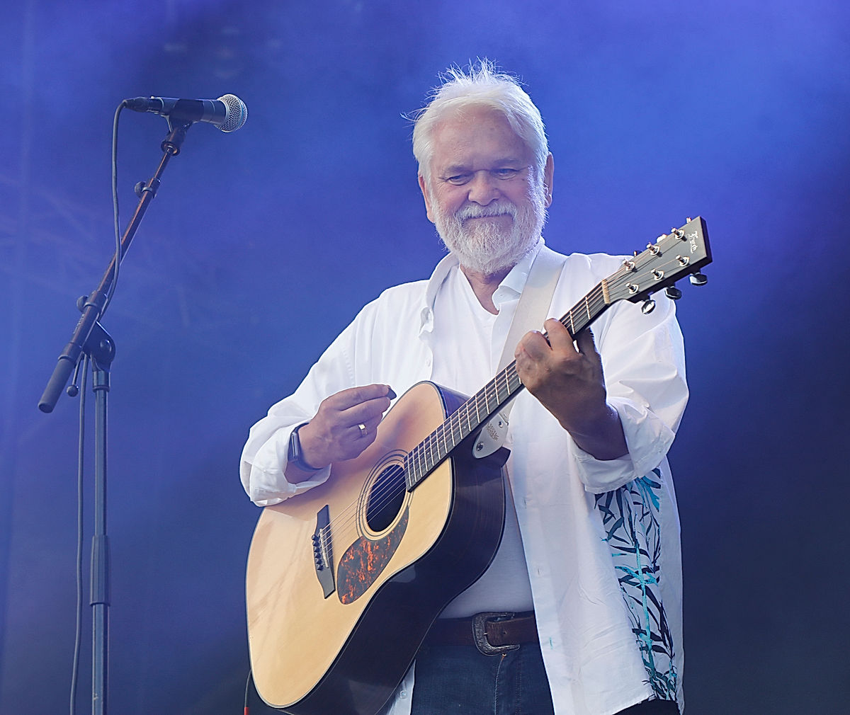 Hasse Andersson - 2019 - SommarRock Svedala