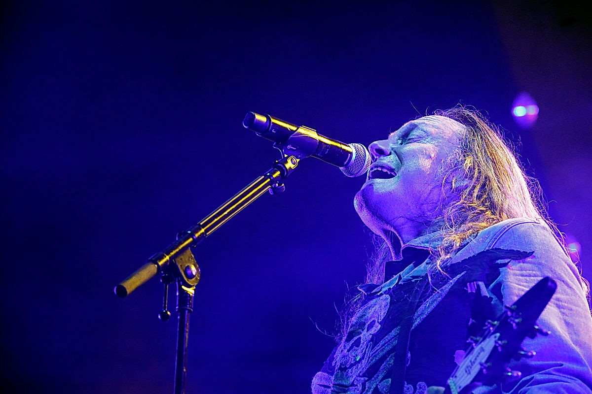 D-A-D - 2024 - SommarRock Svedala