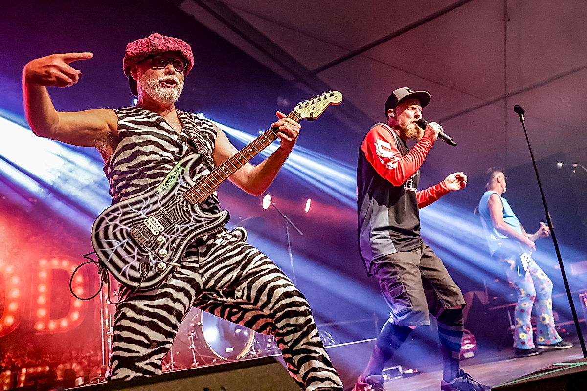 Joddla Med Siv - 2025 - SommarRock Svedala