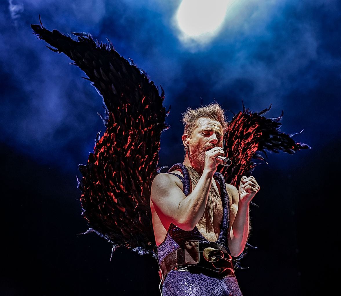 The Ark - 2026 - SommarRock Svedala